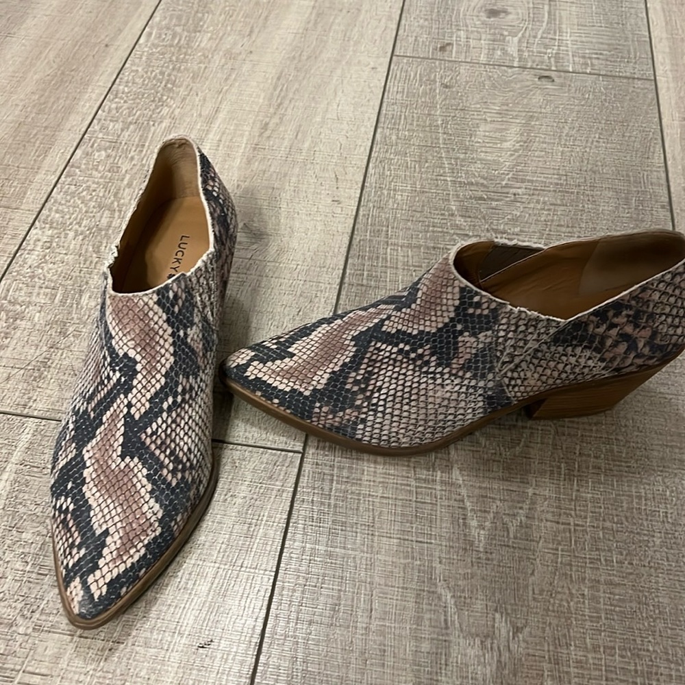 Lucky brand snake skin booties! BRAND new, worn only one time.